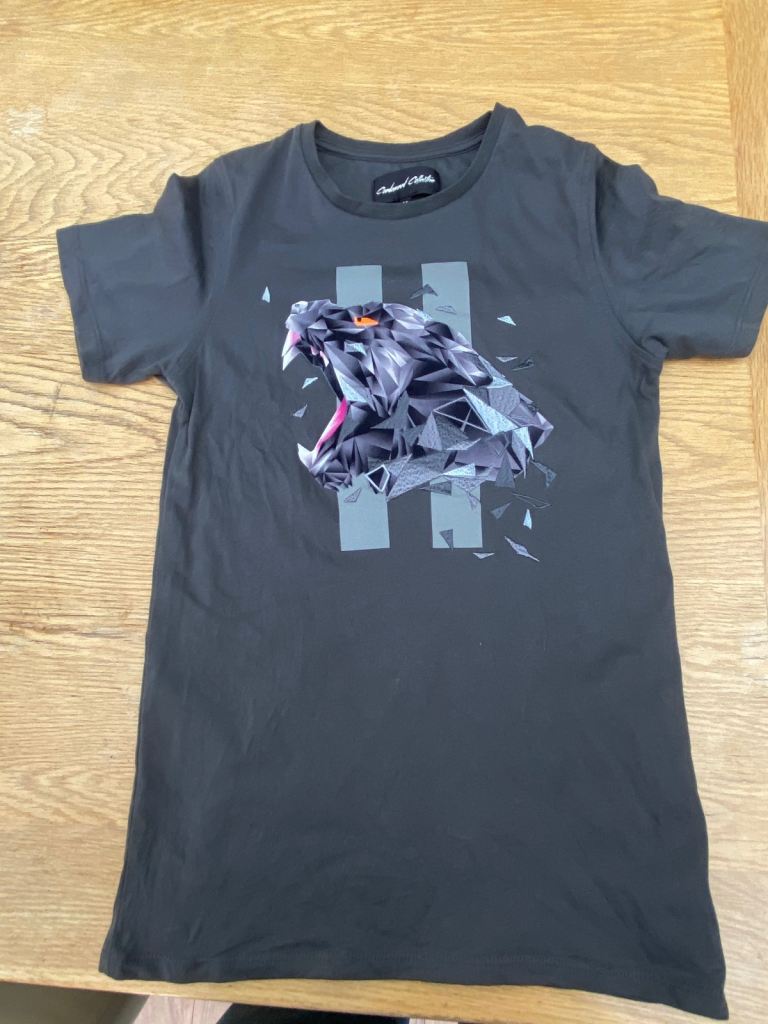 Boys T-Shirts,  4 for £25, size medium,  from Footasylum . 