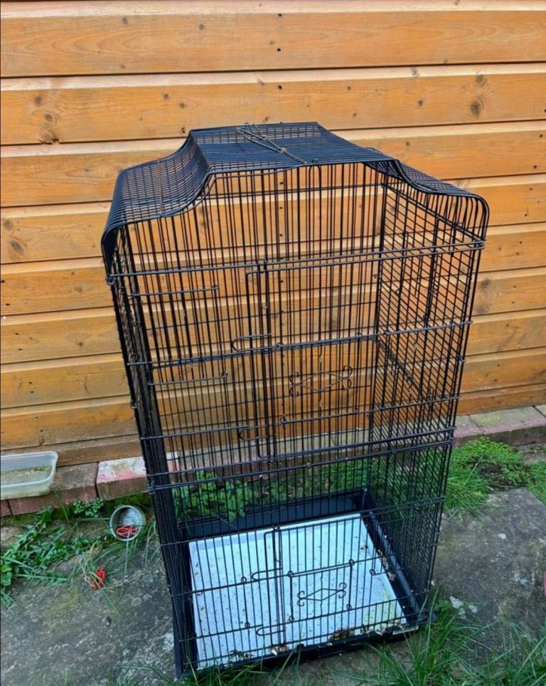 Bird cage for sale