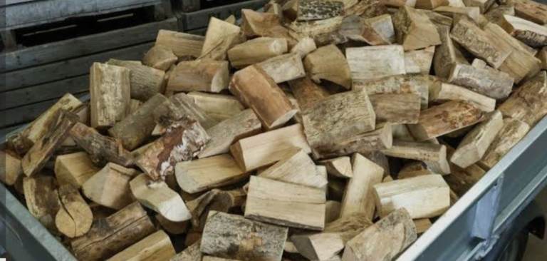 5 foot by 10 foot trailer load of logs