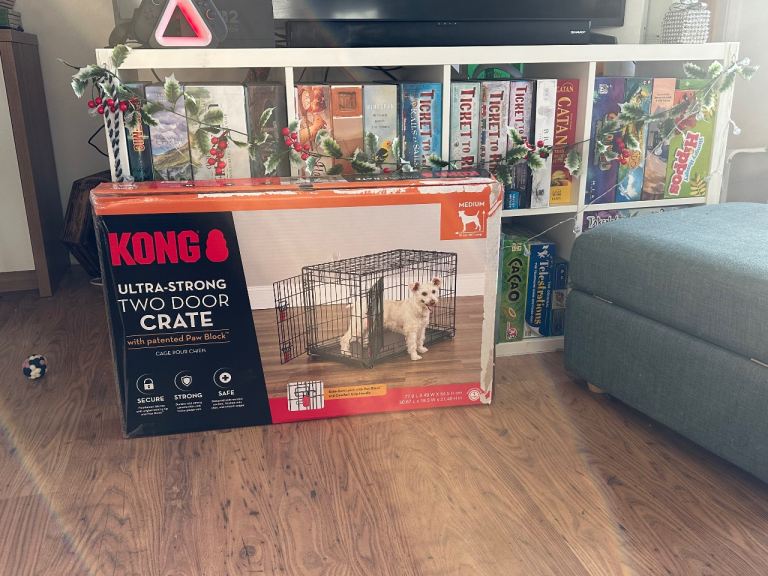 Kong two door dog crate 
