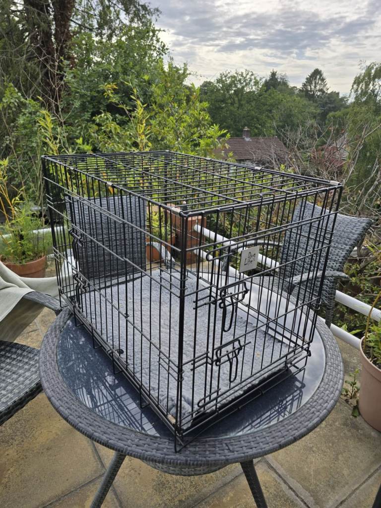 Large dog crate