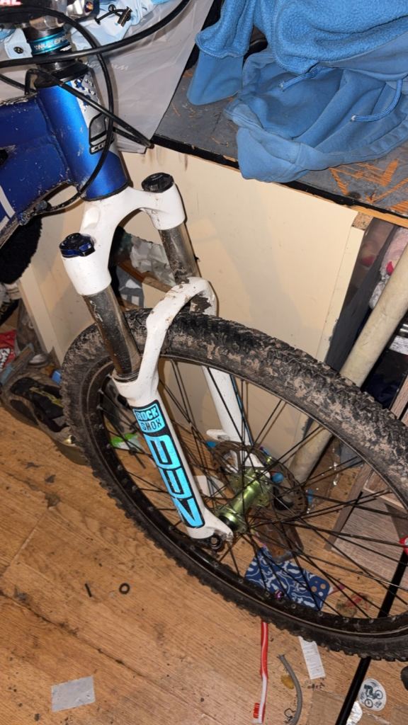 Carrera full custom mountain bike