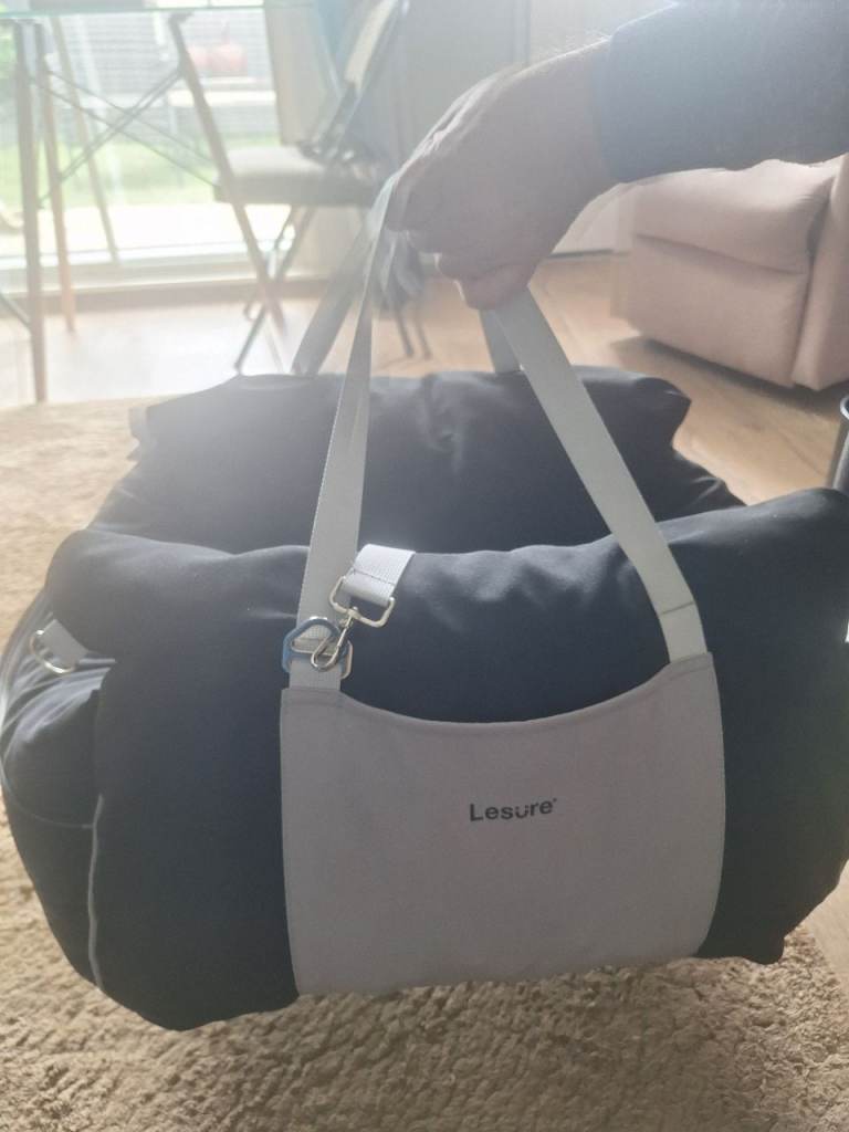 Dog carrier 