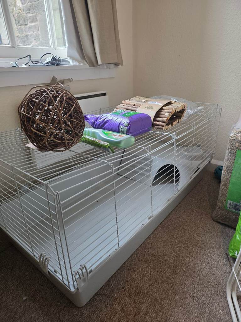 Full Rabbit Starter Kit Indoor