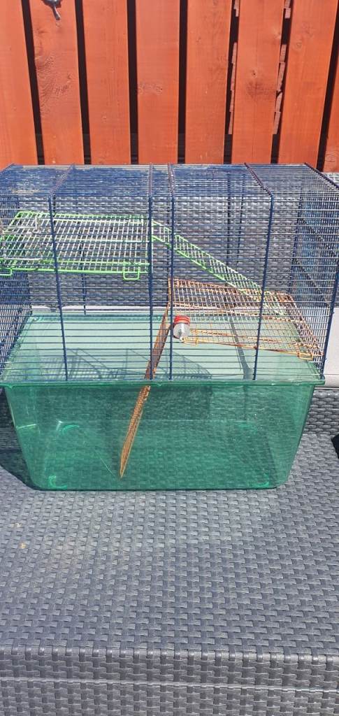 Gerbil cage