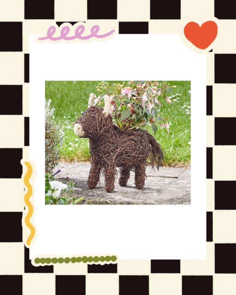 Rattan Planter - Highland Cow