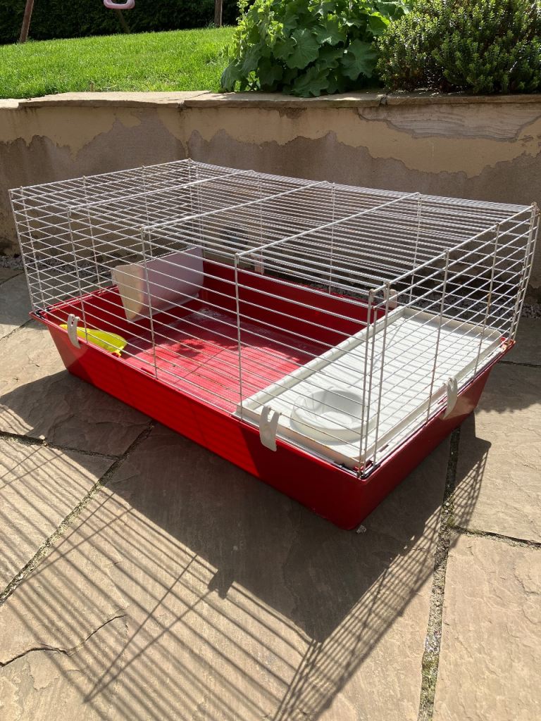 Guinea pig cage