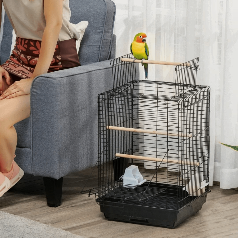 Bird cage brand New in box
