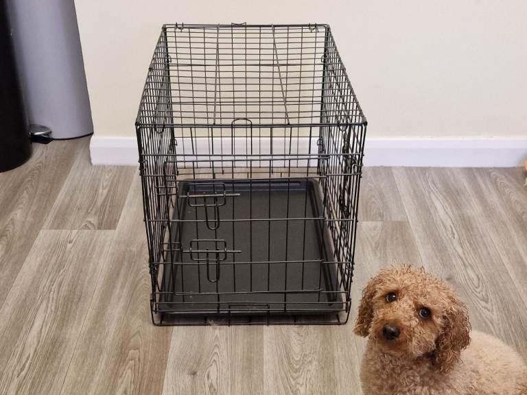 Metal dog cage medium