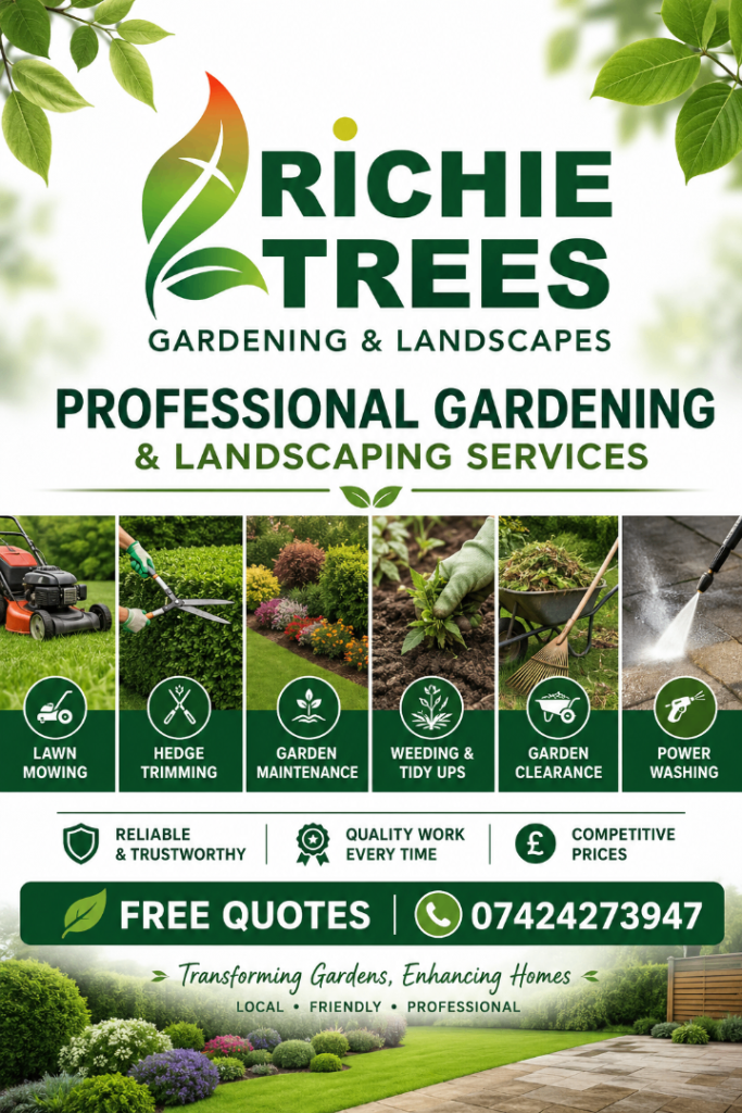 Reliable Belfast Gardening Services – Lawn Cutting, Hedge Trims, Garden Maintenance & Power Washing