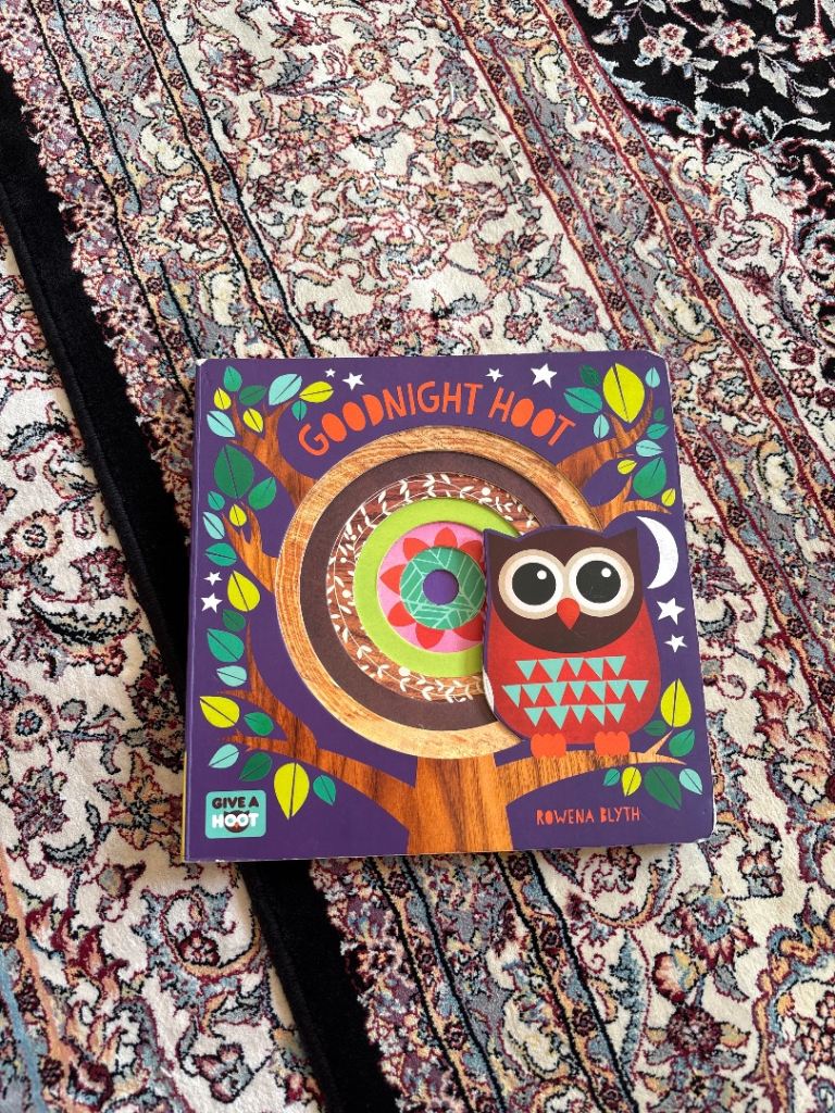 Goodnight Hoot Children's Book 