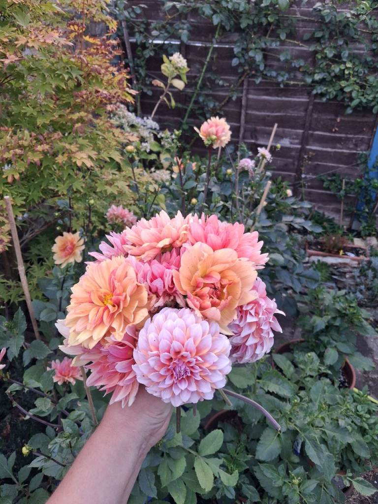 East London Gardening Services 