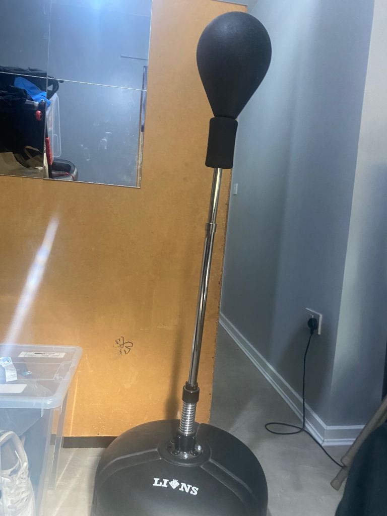 Lions pro punching bag