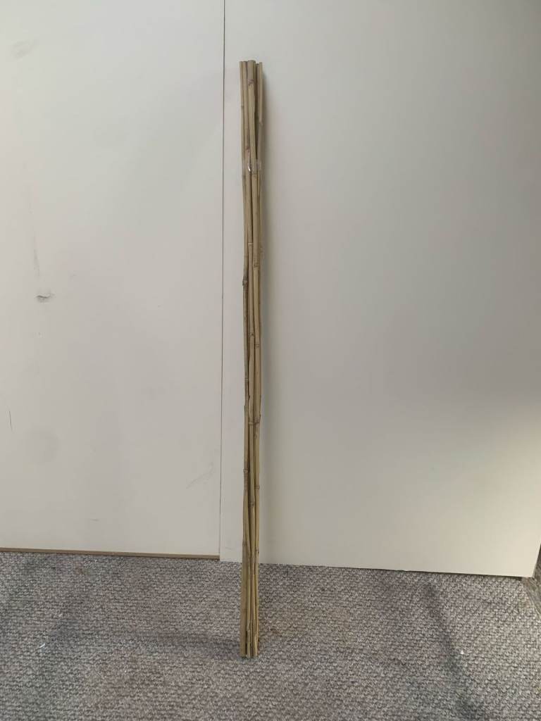 Bamboo Cane 6FT X 10