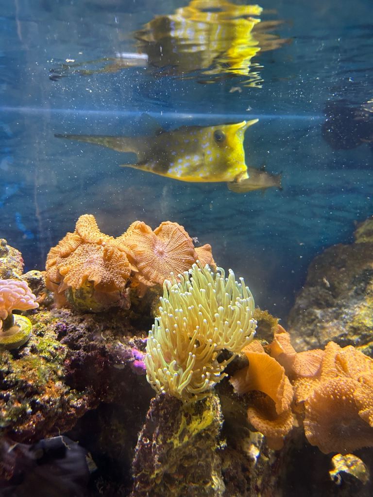 Complete marine set up, now breaking down