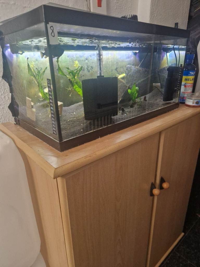 60L 2ft aquarium with light and lid 