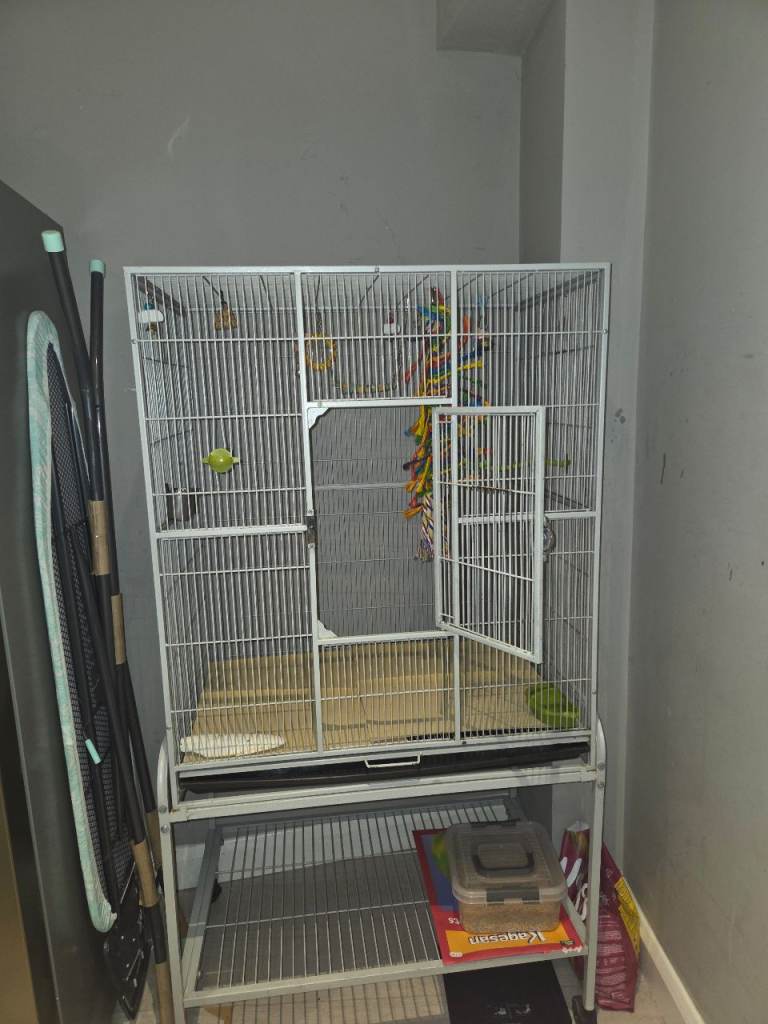 Large bird cage 