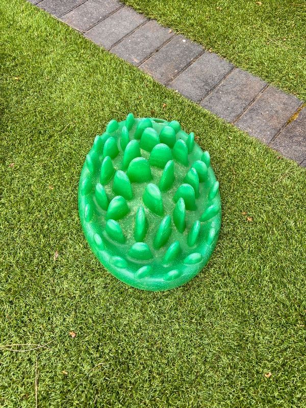Slow dog feeder bowl