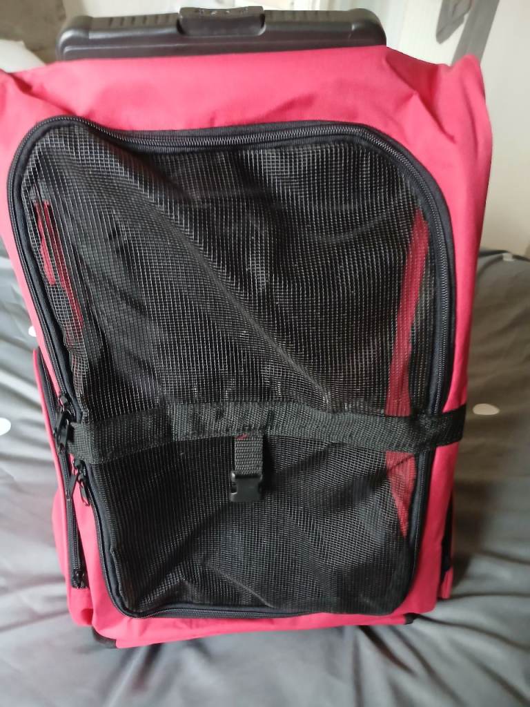 Small dog carrier on wheels