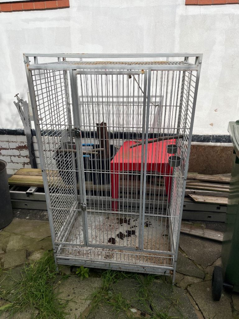 Large parrot cage