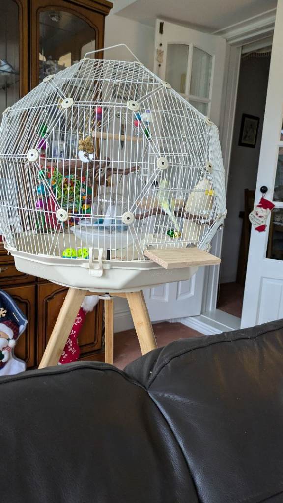 omlet geo bird cage