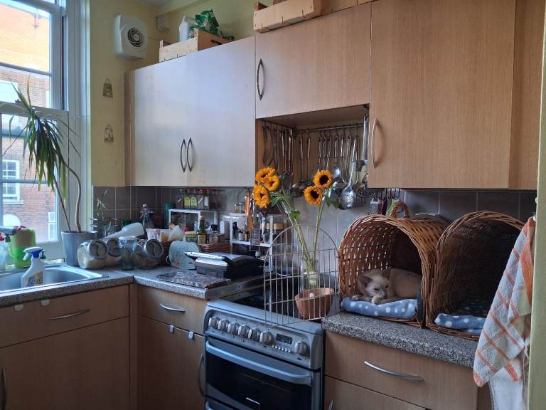 Offered: 2Bed Flat in London Zone 2 warm and sunny