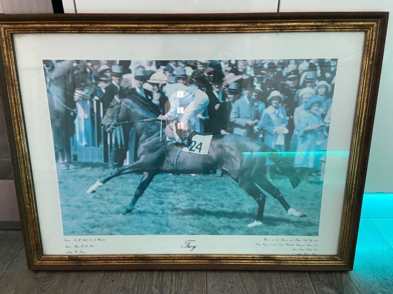 Racing horse picture
