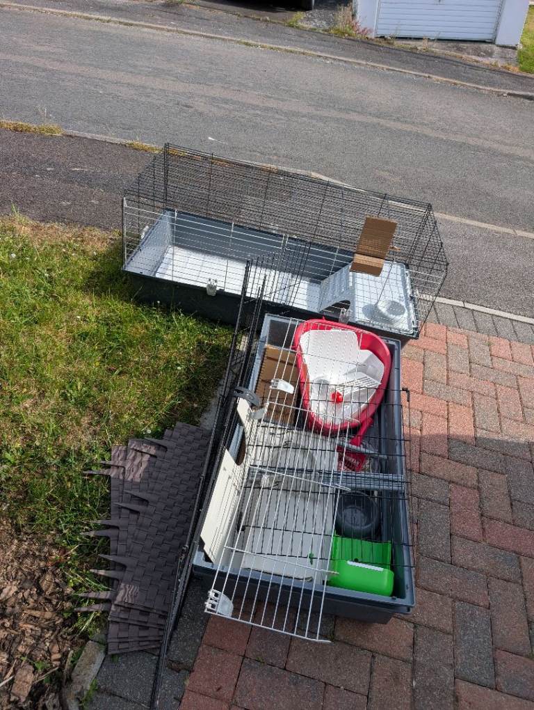 Two Rabbit or Similar Cages