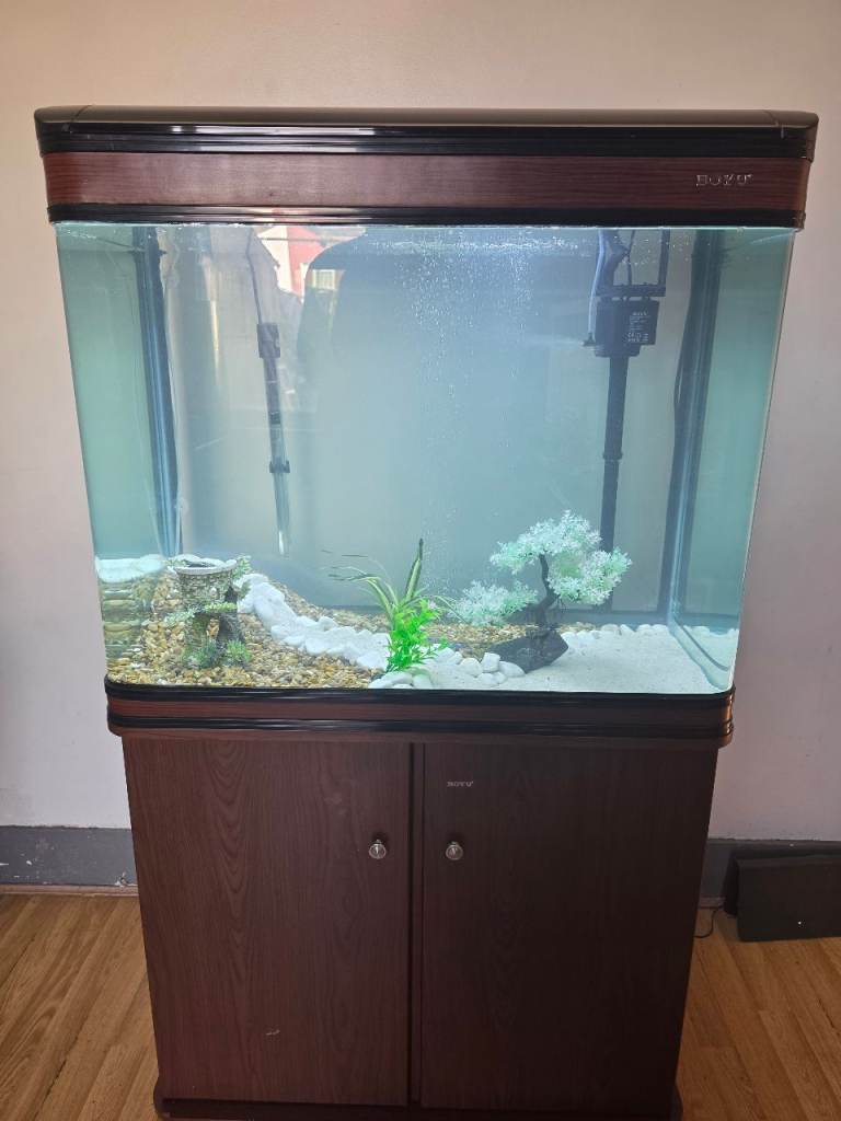 BOYU FISH TANK 
