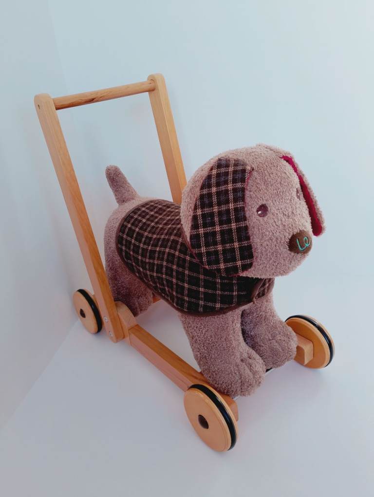 Little Bird Told Me Baby Walker