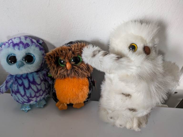 Owl cuddly toys 