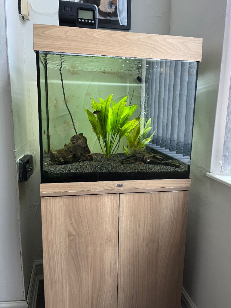 Juwel Lido 120 Aquarium with Cabinet - Light Oak Finish