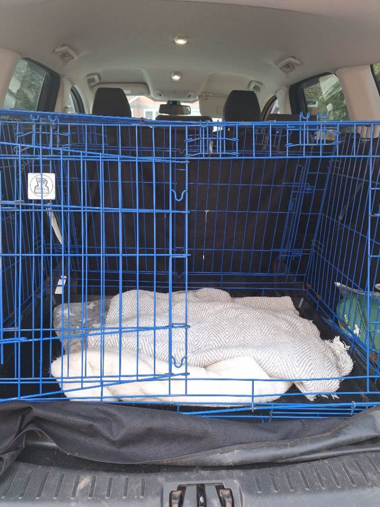 Pet travel crate