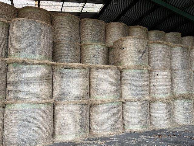 Organic Meadow Hay For Sale