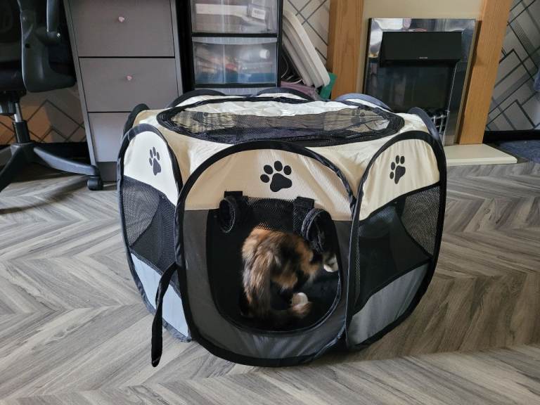 Cat/small dog tent 