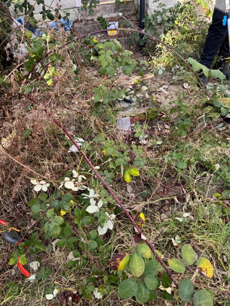 Gardening and rubbish disposal 