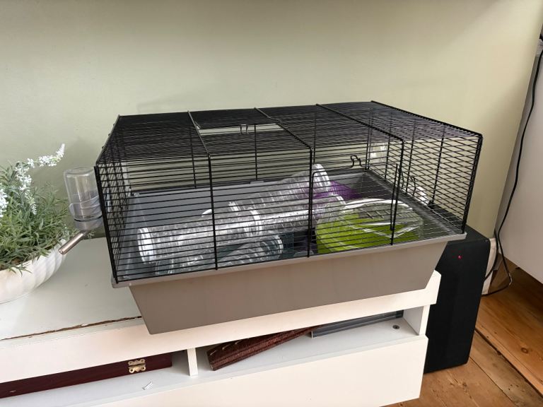 Hamster/Rodent Pet cage with accessories
