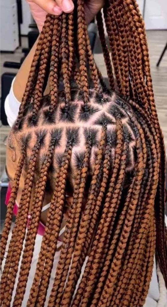 Knotless Box Braids 
