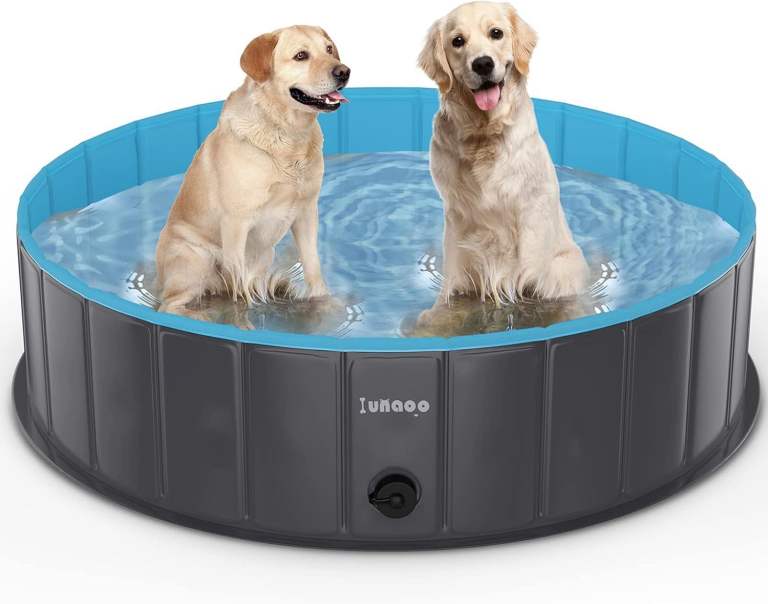 Dog Paddling Pool Foldable Pet Swimming Pool, Portable Kiddie Pools 