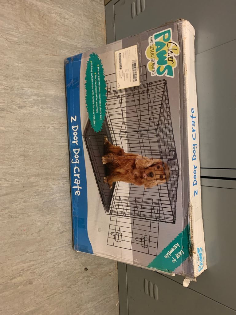 Medium Dog creat 