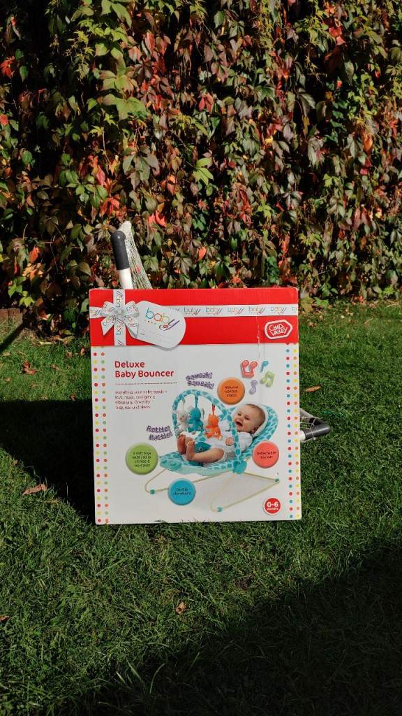 Baby bouncer