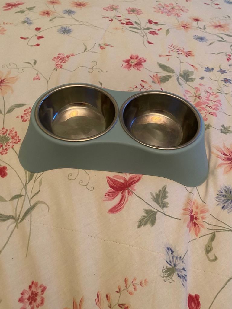 Double Dog Bowl