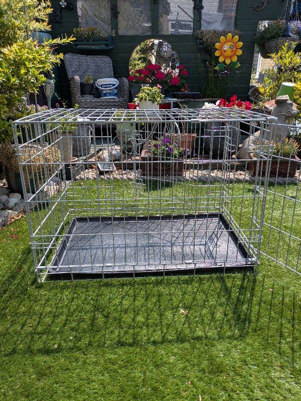 Dog crate +