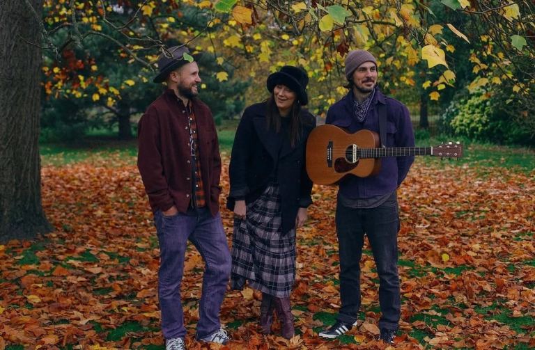 Double Bass / Violin / Mandolin needed for Alt-folk, country, blues trio