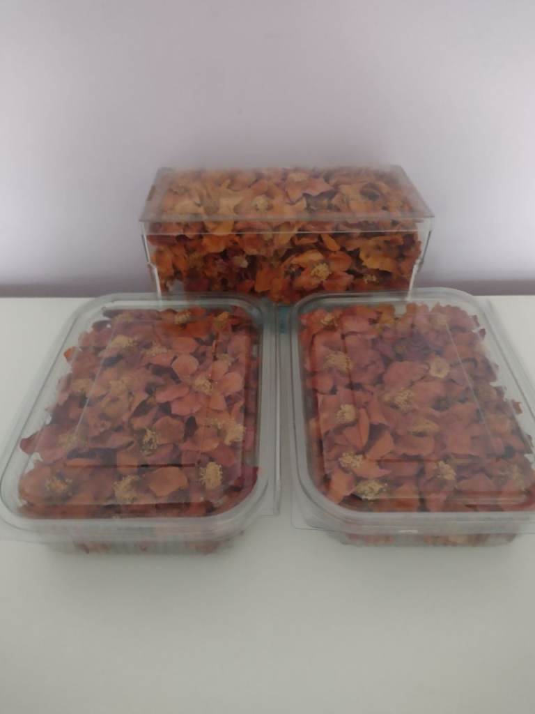 Rustic Natural Camelia's for Crafts, Weddings or Pot Pourri. In Clear Lidded Boxes @ £10 each.