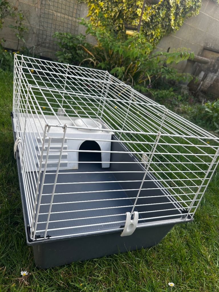 Hamster cage