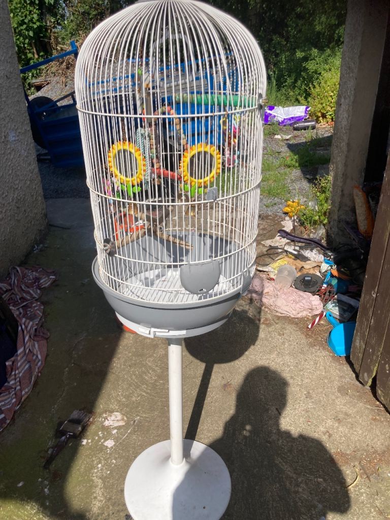 Bird cage 