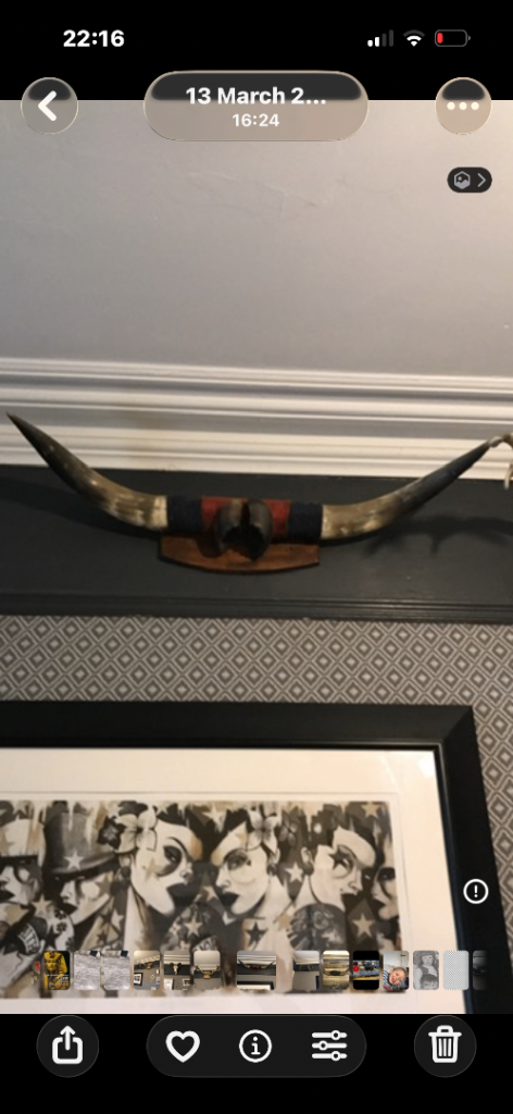 Bull horns