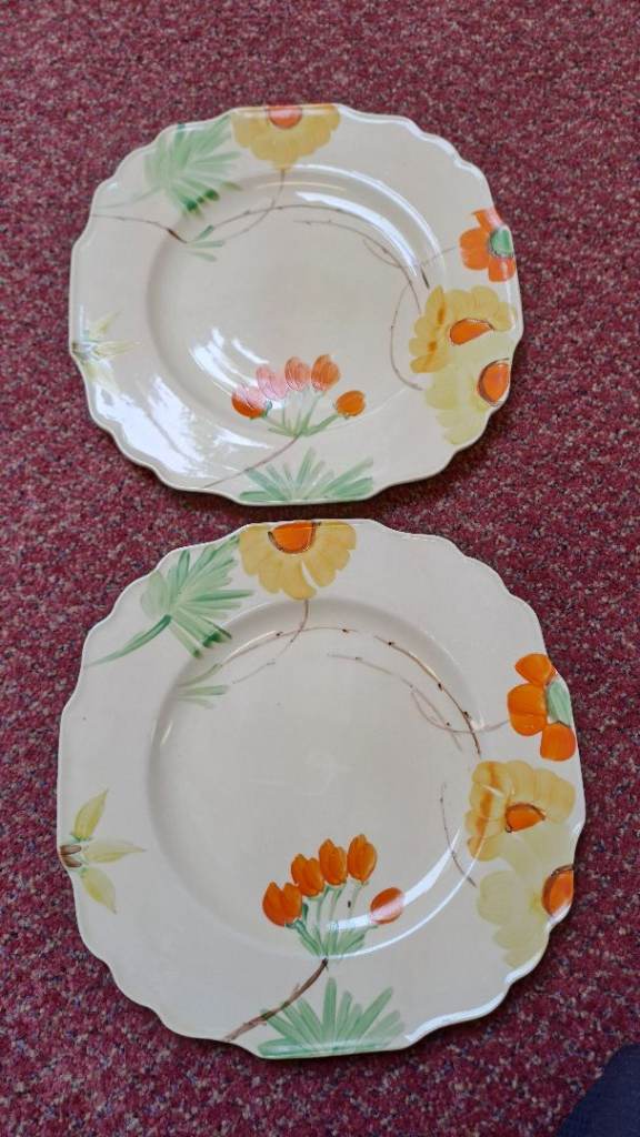 Pair of Myott Son & Co Hand-Painted Vintage Dinner Plates
