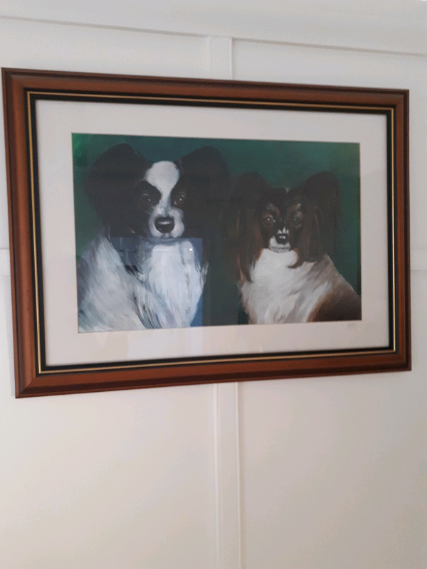 Papillon framed painting